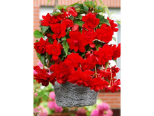 50,44���. ������� ������ ������� ����(�������� ���� �� 5 ��., ����������� ����� 1��.).jpg