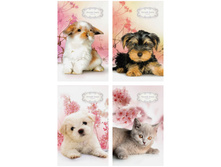 ������� �6 32�. �� ������� �������. Romantic season 5,52.jpg