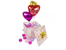 1399266863 ls1ss1tb-hs.jpg