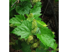 162���. �������� ��������� �����.jpg