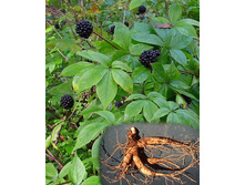 ������������ 5�� 20,00.jpg