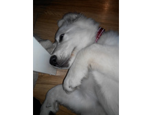 IMG 20151006 224042.jpg