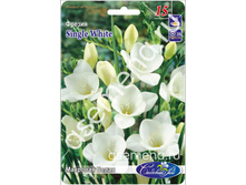 �������� �����.jpg