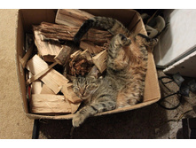 � ������� �� ������� �����!