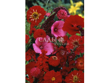 ����� ������� �������� 1,5�� 19,5.jpg