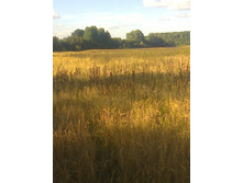 ���� ����� ��������� �����