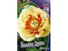 1175,2���. ���� ������ ���� (���)(�������� ���� �� 1 ��., ����������� ����� 1��.).jpg