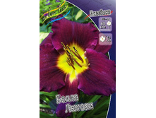 180���. �������� ����� ������(�������� ���� �� 1 ��., ����������� ����� 1��.).jpg