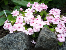 20150723 110914.jpg