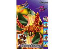 439,1���. ����� ���������(�������� ���� �� 2 ��., ����������� ����� 1��.).jpg