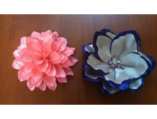 IMG 20151003 102744.JPG