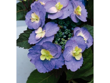 280���. ��������� �������������� �������� �������.jpg