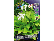 56,85���. ����� ���� ��������(�������� ���� �� 2 ��., ����������� ����� 1��.).jpg