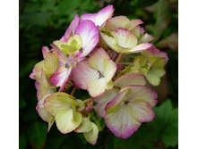 141���. ��������� ��������� ��������.jpg