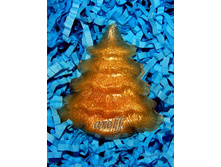 ������� ������ ���� 60 ���.jpg