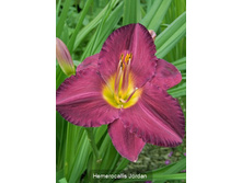 136,9���. �������� �������(�������� ���� �� 1 ��., ����������� ����� 1��.)���16.jpg