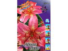 40,86���. ����� ����� ����(�������� ���� �� 5 ��., ����������� ����� 1��.).jpg