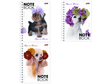 �������� ������ �6 80�. �� ������ ����� 18,53.jpg