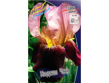 95,3���. ���� ���������� ������ ���(�������� ���� �� 2 ��., ����������� ����� 1��.).jpg