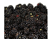 204���. ������� ��������� �����.jpg