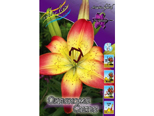 33,08���. ����� �������� ����(�������� ���� �� 5 ��., ����������� ����� 1��.).jpg