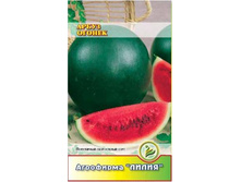 ����� ������ ������ 	1	7,00 ���.