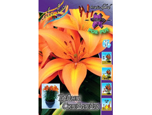 30,48���. ����� ����� �������(�������� ���� �� 5 ��., ����������� ����� 1��.).jpg