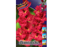 10,19���. ��������� ��������(���������� ������ ������ ���������� �� 8 ��.).jpg