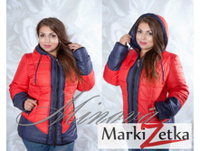 ������ 2630 ����