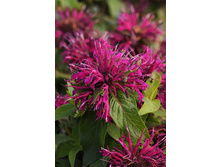 163,4���. ������� ����� �����(�������� ���� �� 1 ��., ����������� ����� 1��.)���16.jpg