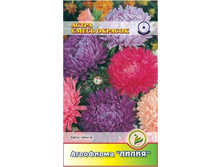 ����� ����� �������	0,3	8,00 ���.