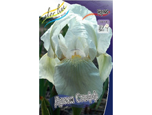 72,1���. ���� (pumila) ���� �����(�������� ���� �� 2 ��., ����������� ����� 1��.).jpg