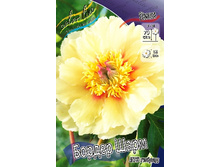 1092,3���. ���� ������ ���� (���)(�������� ���� �� 1 ��., ����������� ����� 1��.).jpg