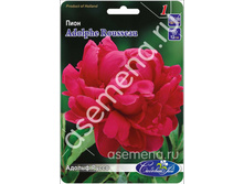 ������ �����.jpg