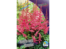 109,4���. �������� ����� ��� ������(�������� ���� �� 1 ��., ����������� ����� 1��.).jpg