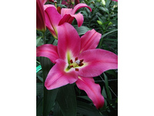 35,66���. ����� ��������(�������� ���� �� 5 ��., ����������� ����� 1��.).jpg