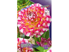 78,3���. �������� ������(�������� ���� �� 1 ��., ����������� ����� 1��.).jpg