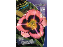 213,2���. �������� ��� ���� ��(�������� ���� �� 1 ��., ����������� ����� 1��.).jpg