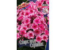 79,37���. ����� ����� ��� �������(�������� ���� �� 3 ��., ����������� ����� 1��.).jpg