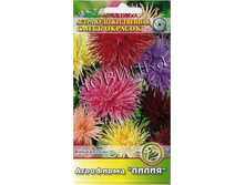 ����� �������������� �����	0,3	8,00 ���.