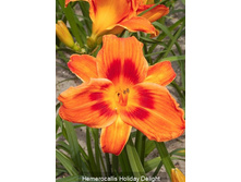 102,1���. �������� ������� ������(�������� ���� �� 1 ��., ����������� ����� 1��.)���16.jpg