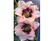 130,3���. �������� ����� �����(�������� ���� �� 1 ��., ����������� ����� 1��.).jpg