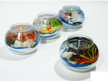 ����� ������� "������� ���" 250 ���.