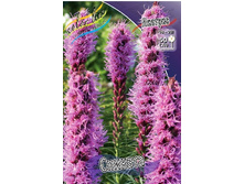 11,06���. ������� �������(���������� �� ����� �������� �� 8��.).jpg