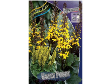 196,6���. ��������� ����� �����(�������� ���� �� 1 ��., ����������� ����� 1��.).jpg