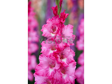 10,19���. ��������� ������ ����(���������� ������ ������ ���������� �� 8 ��.)���16.jpg