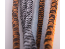 ����� �� ��������� ������ ���3.jpg