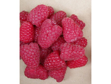 167���. ������ �������� ���16.jpg