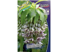 78,8���. ������� �������(�������� ���� �� 1 ��., ����������� ����� 1��.).jpg