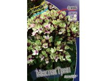 103,3���. ����� NEON- ������ ����(�������� ���� �� 2 ��., ����������� ����� 1��.).jpg